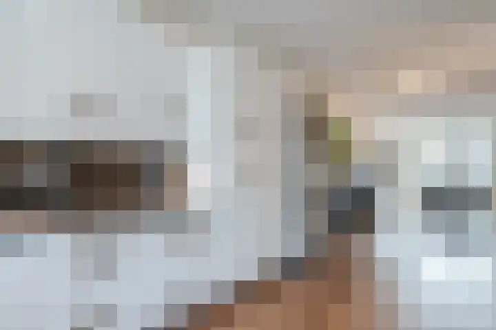 Wachtdeur 14 Sint Pancras thumbnail 8