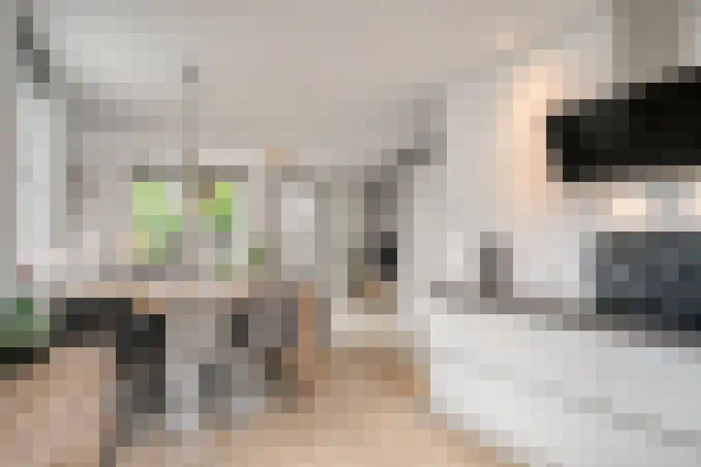 Wachtelbeemden 14 Helmond thumbnail 13