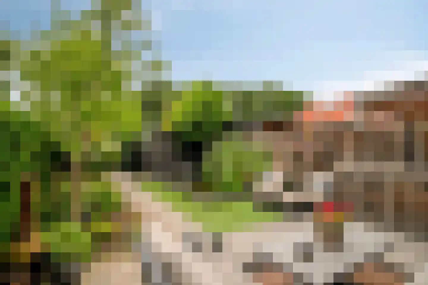 Wachtelbeemden 14 Helmond thumbnail 16