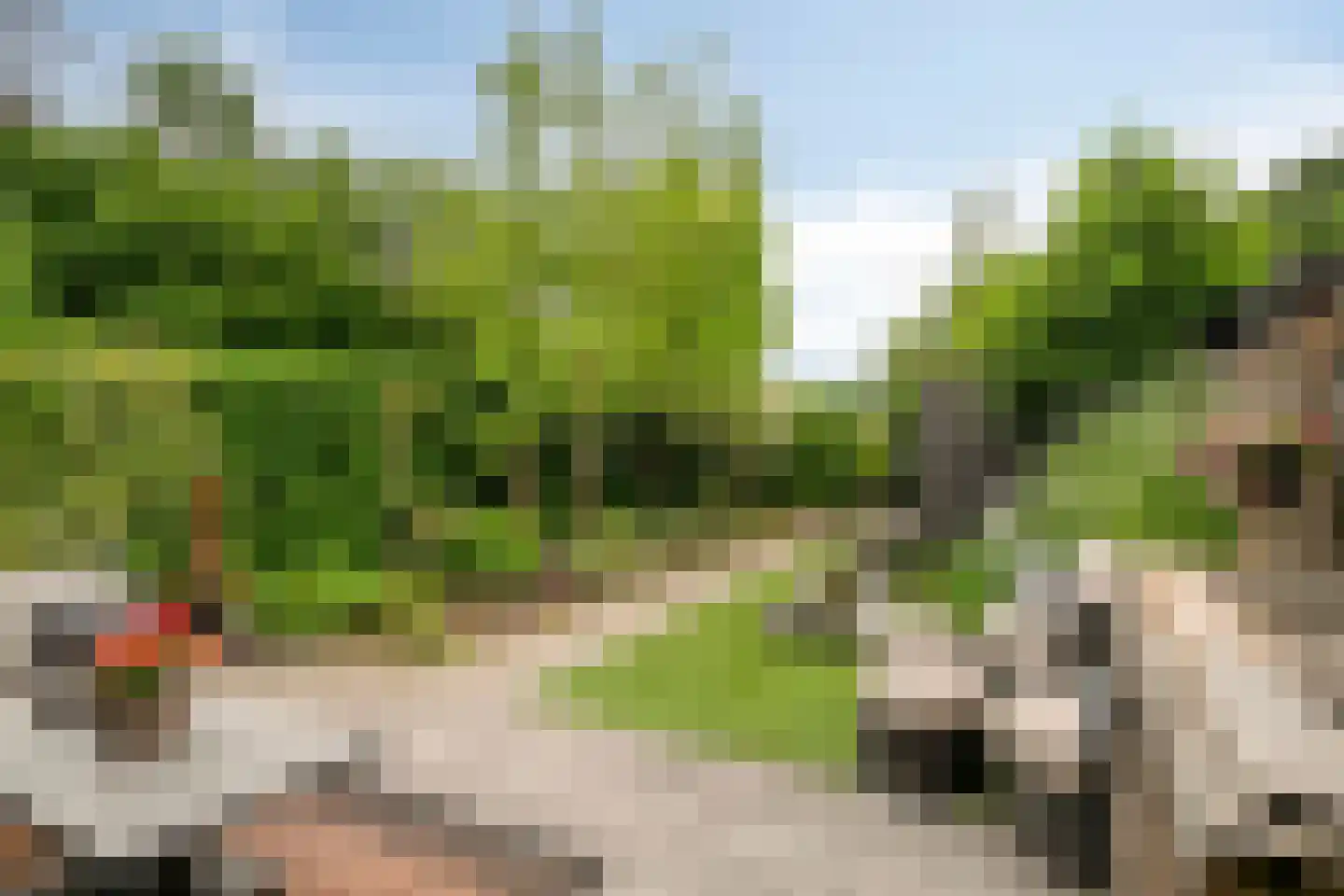 Wachtelbeemden 14 Helmond thumbnail 17