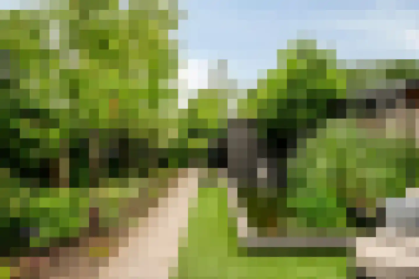 Wachtelbeemden 14 Helmond thumbnail 18
