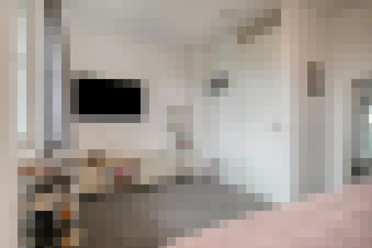Wachtelbeemden 14 Helmond thumbnail 27