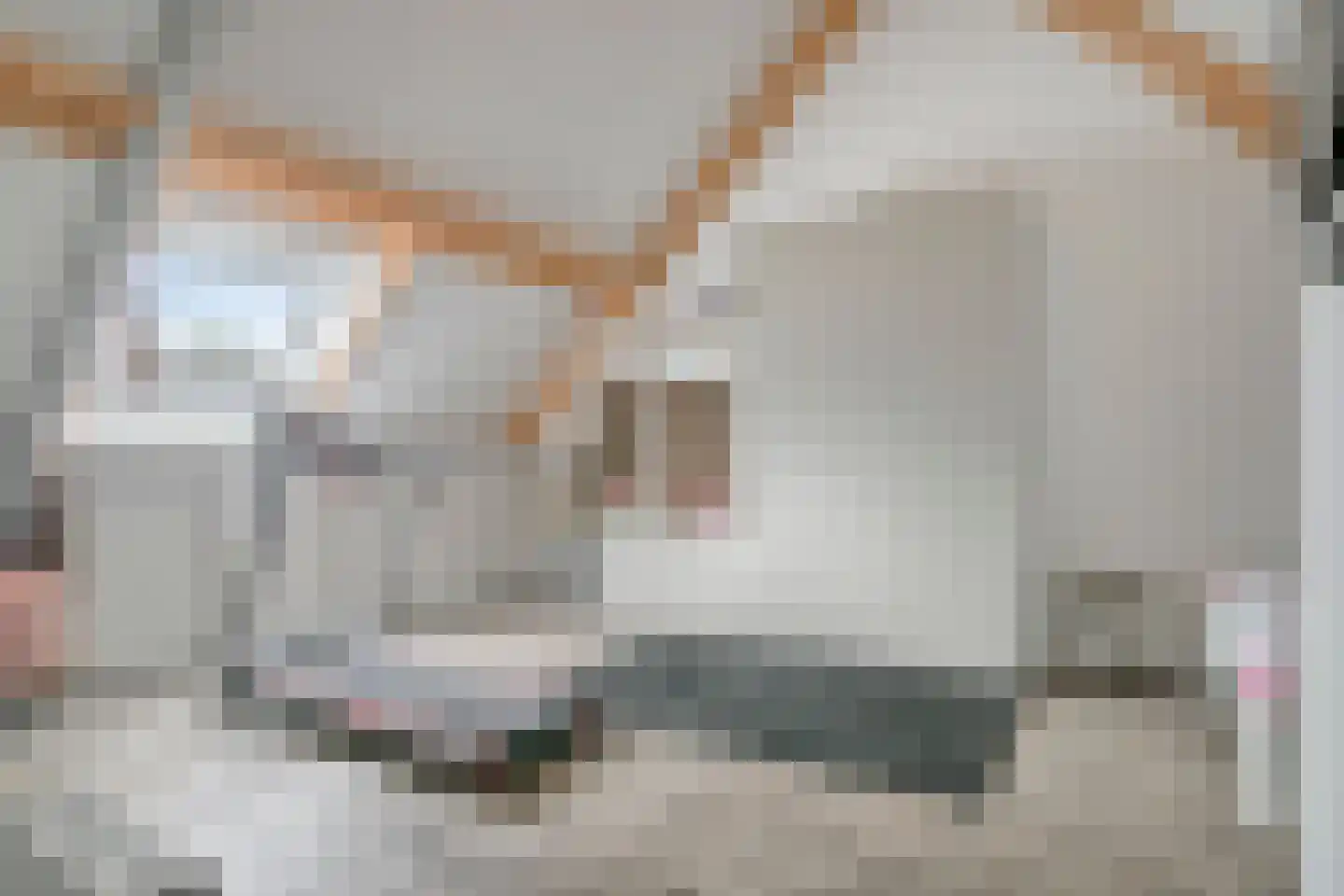 Wachtelbeemden 14 Helmond thumbnail 33