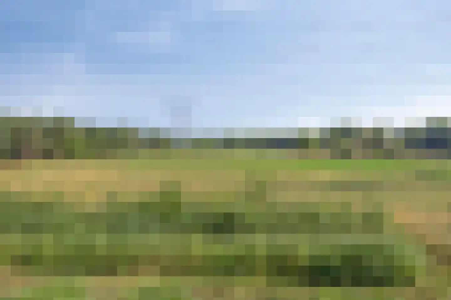 Wachtelbeemden 19 Helmond thumbnail 31