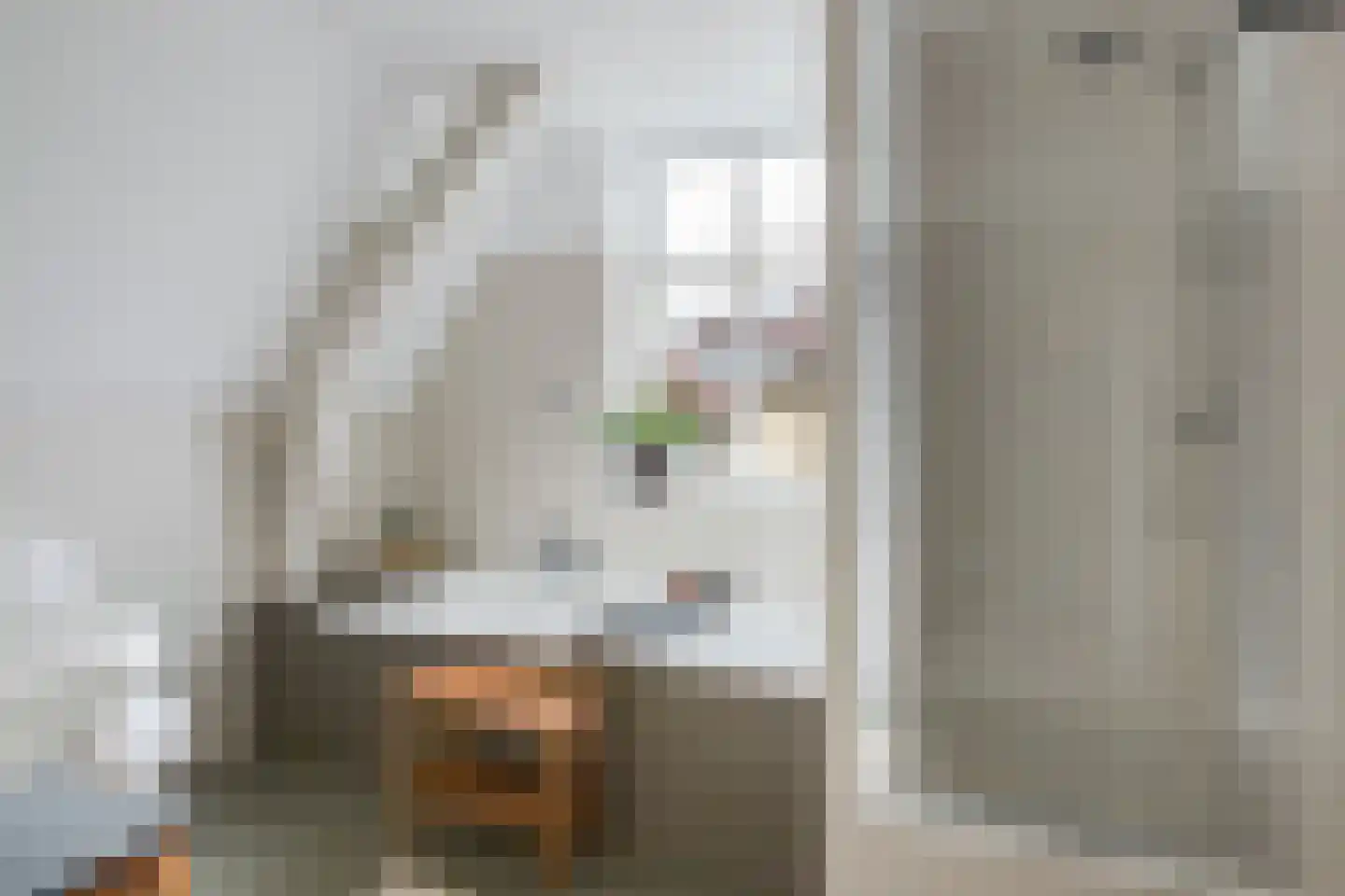 Wachtelstraat 28 Gouda thumbnail 41