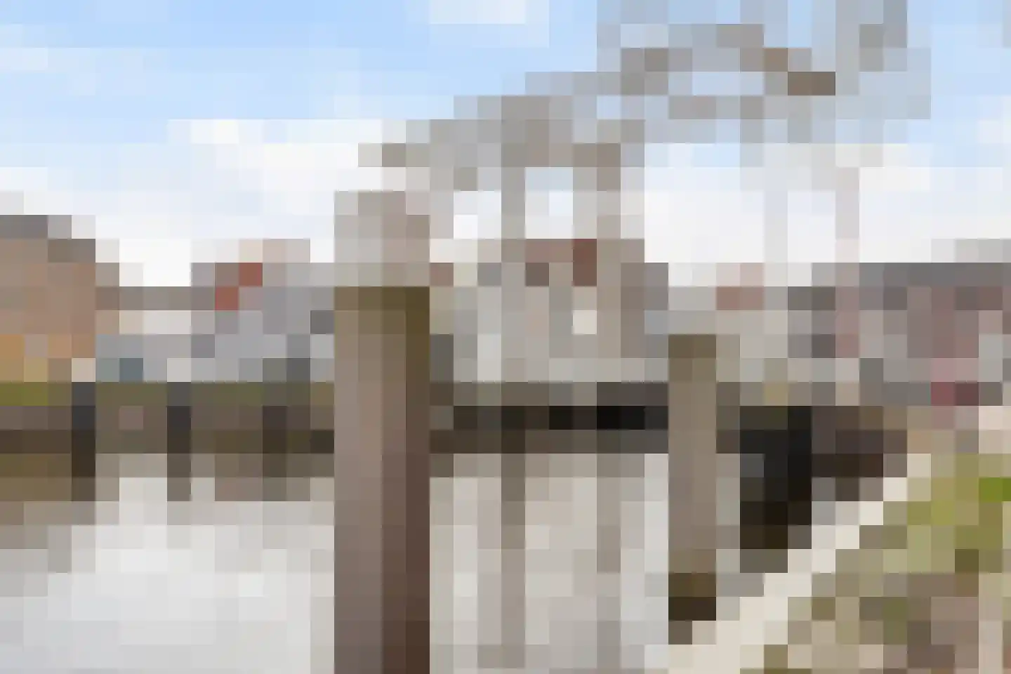 Wachtelstraat 28 Gouda thumbnail 63