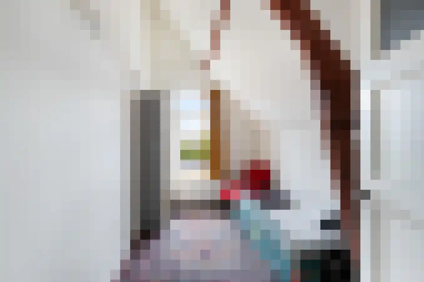 Wachtelstraat 45 Gouda thumbnail 30