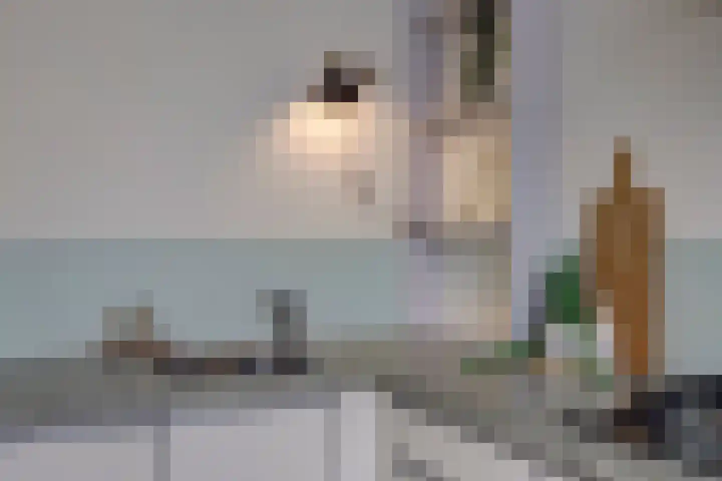 Wachtelstraat 5 Gouda thumbnail 17