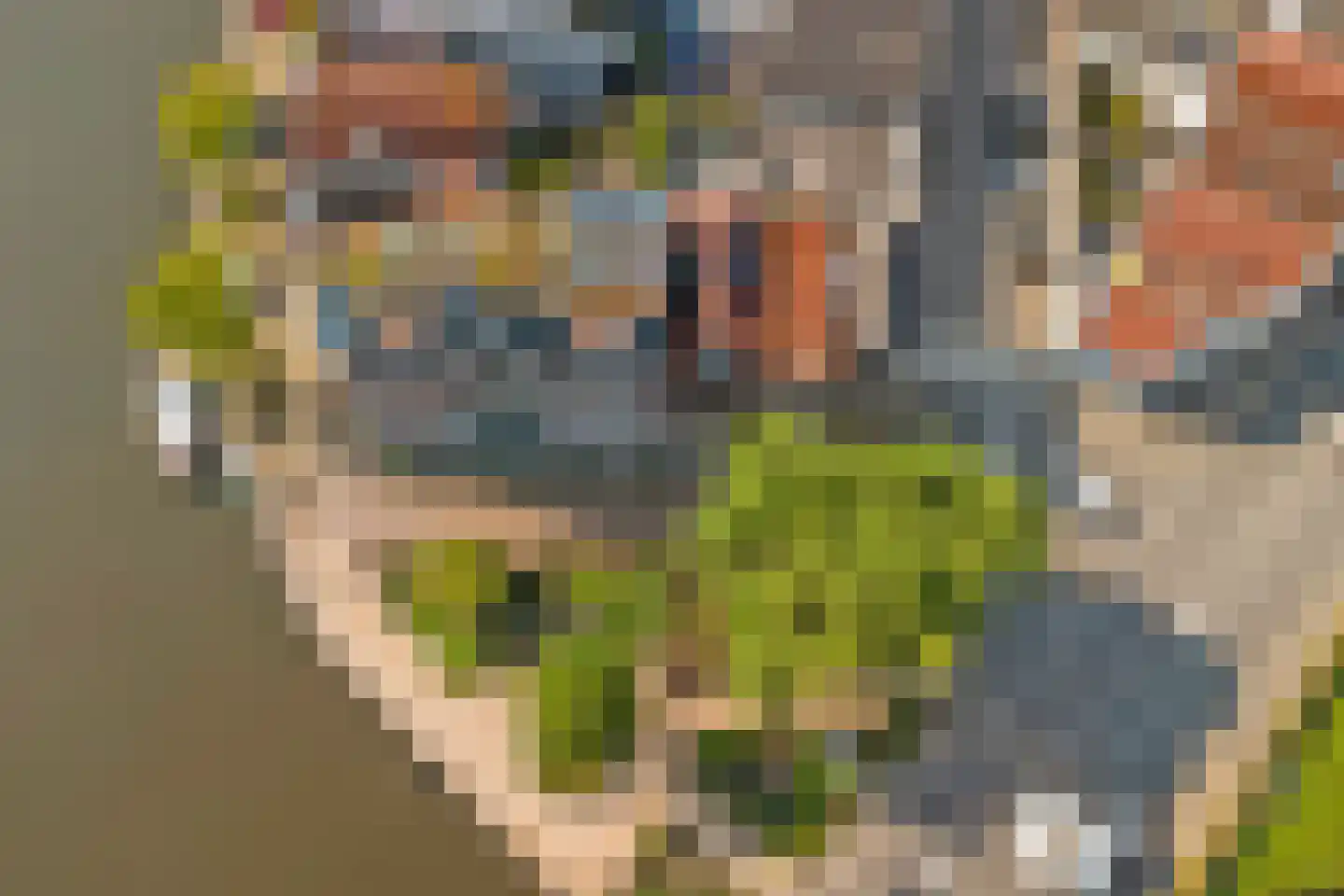 Wachtelstraat 5 Gouda thumbnail 26