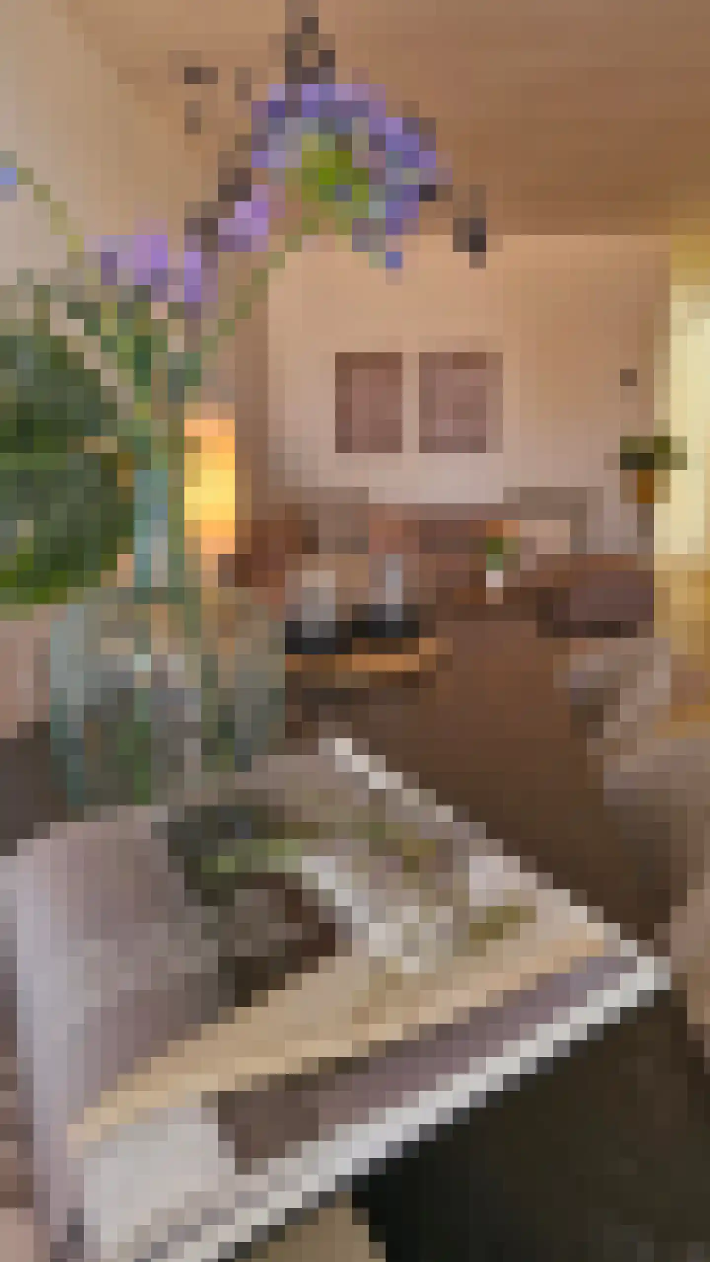 Wachtelstraat 5 Gouda thumbnail 8