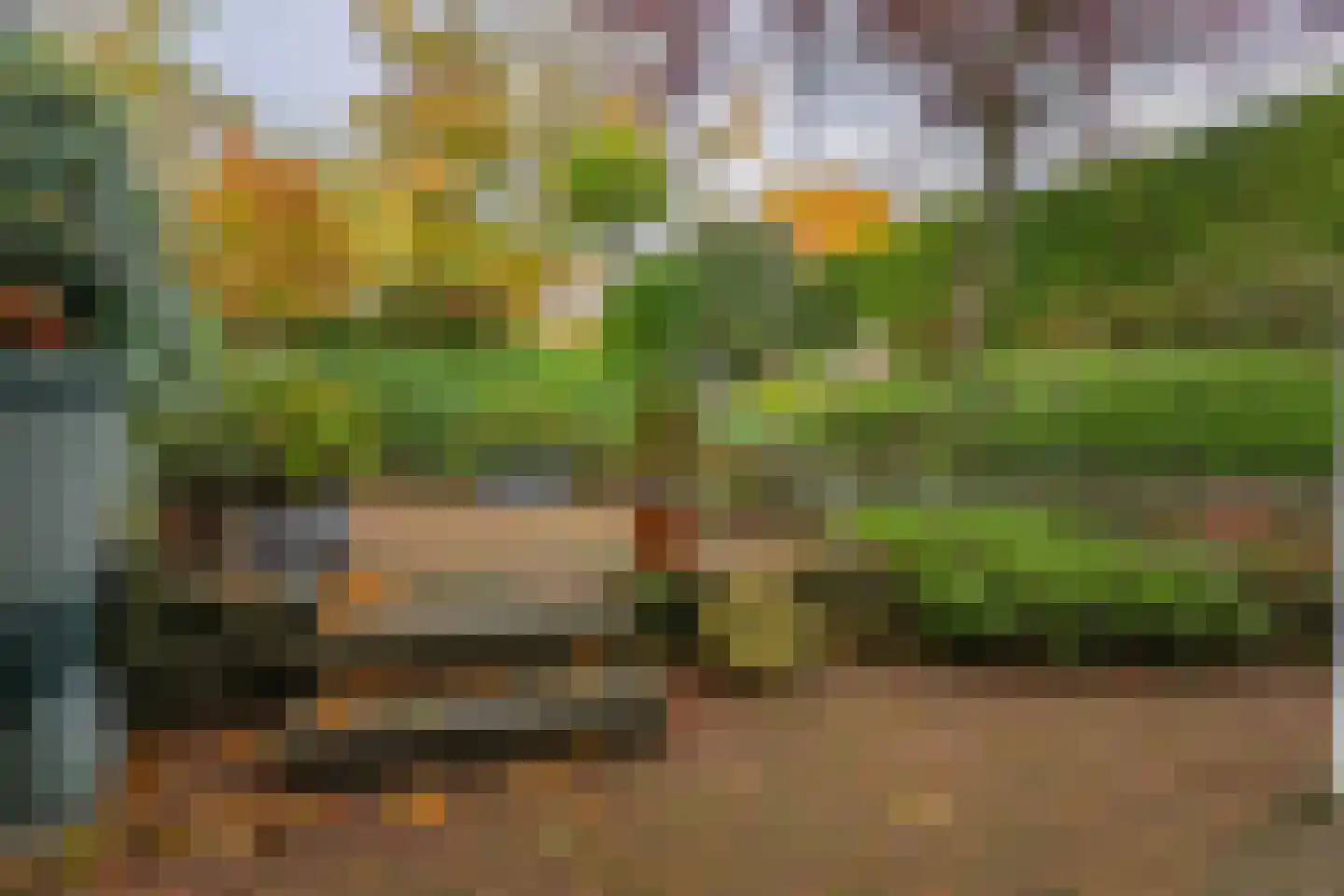 Wachtendonckstraat 25 Landgraaf thumbnail 30
