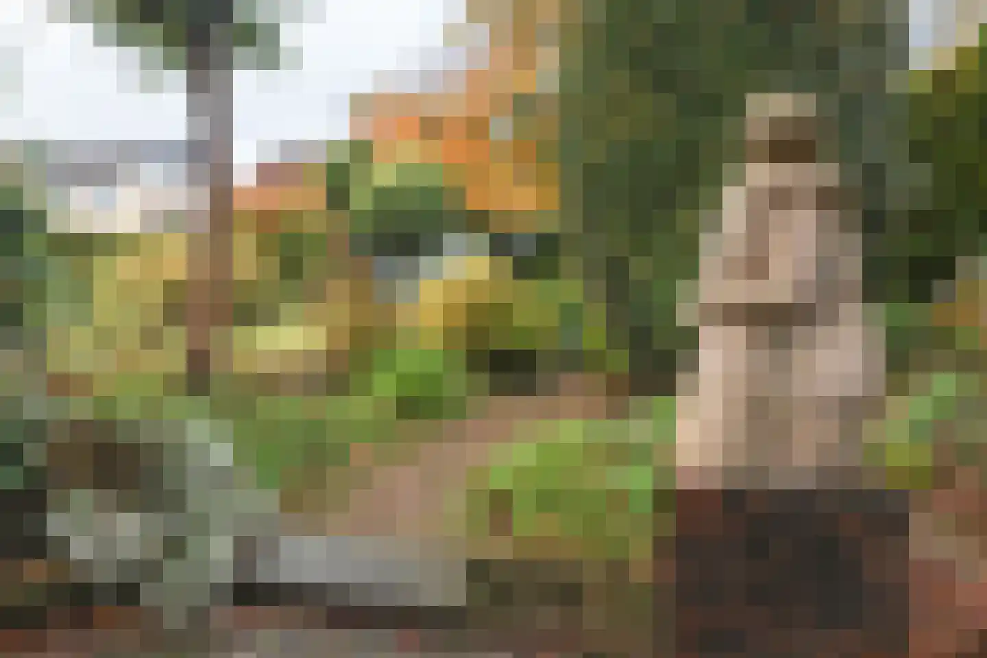 Wachtendonckstraat 25 Landgraaf thumbnail 31