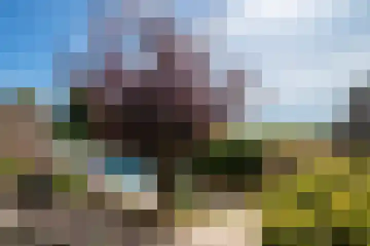 Wachtendonckstraat 38 Landgraaf thumbnail 23