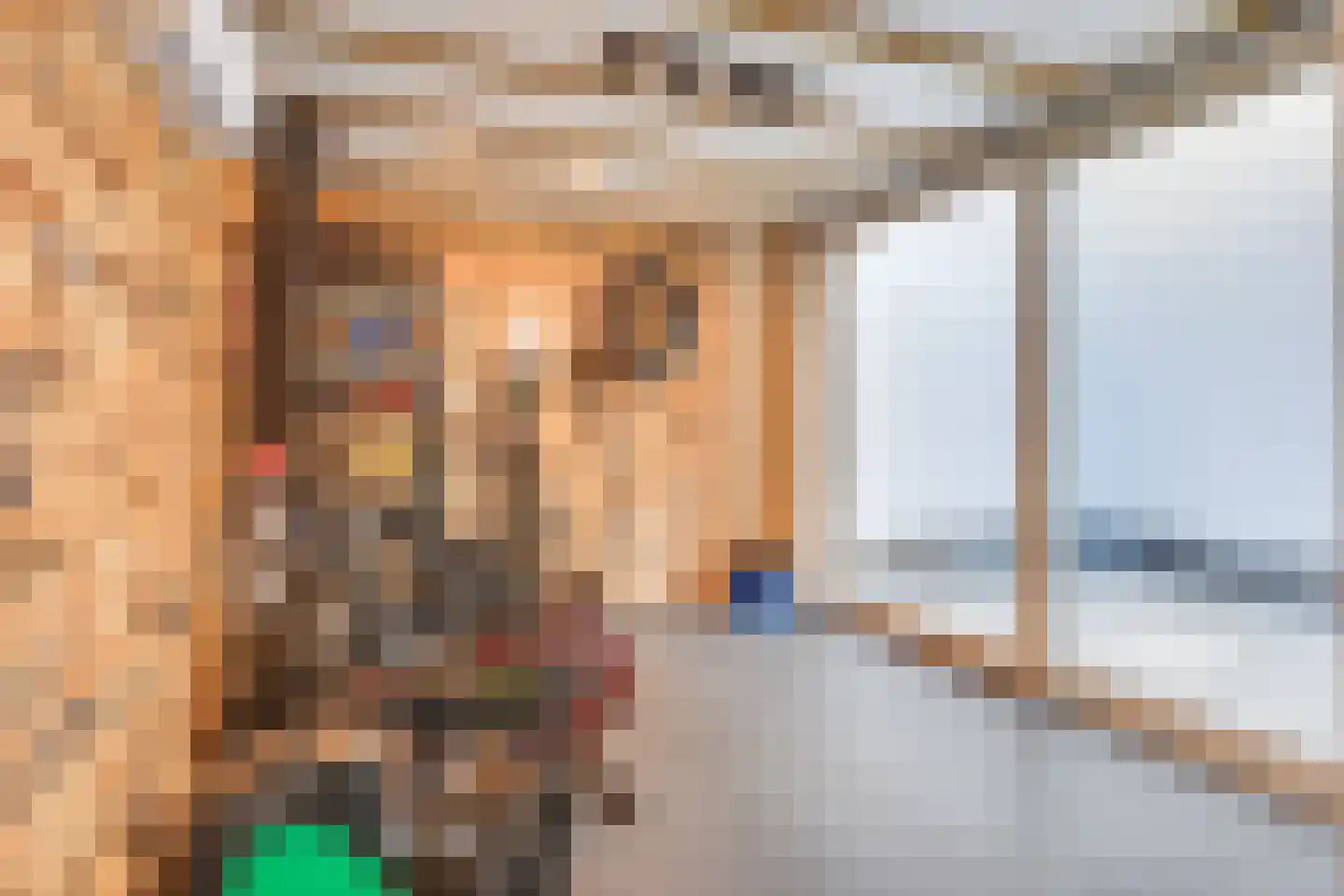 Wachtendonk 103 Uden thumbnail 14