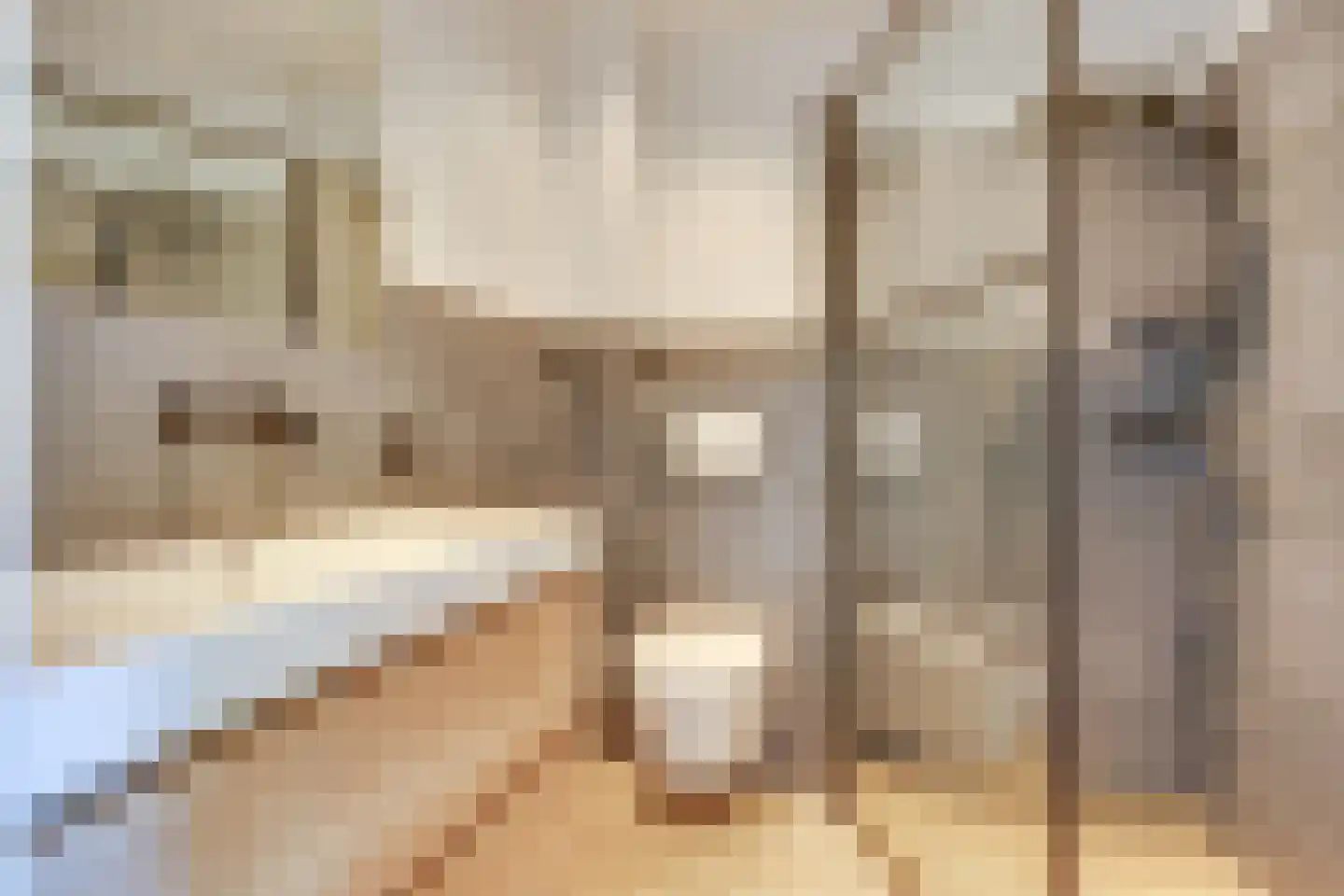 Wachtendonk 103 Uden thumbnail 22