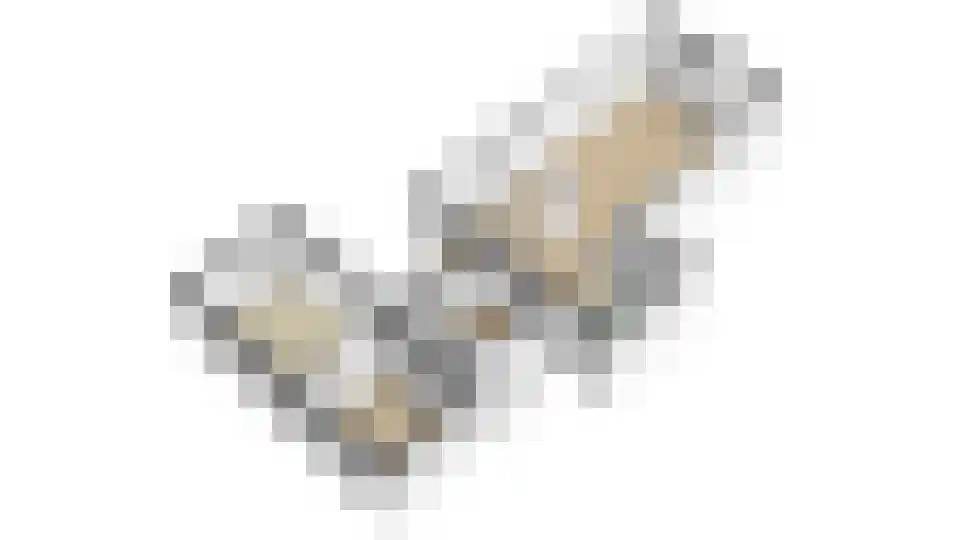 Wachtendonk 103 Uden thumbnail 29