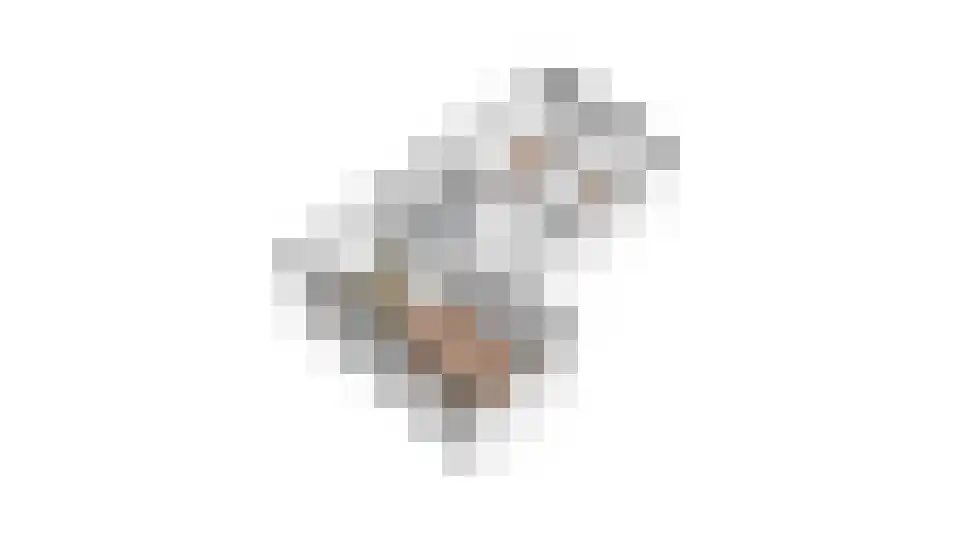 Wachtendonk 103 Uden thumbnail 32