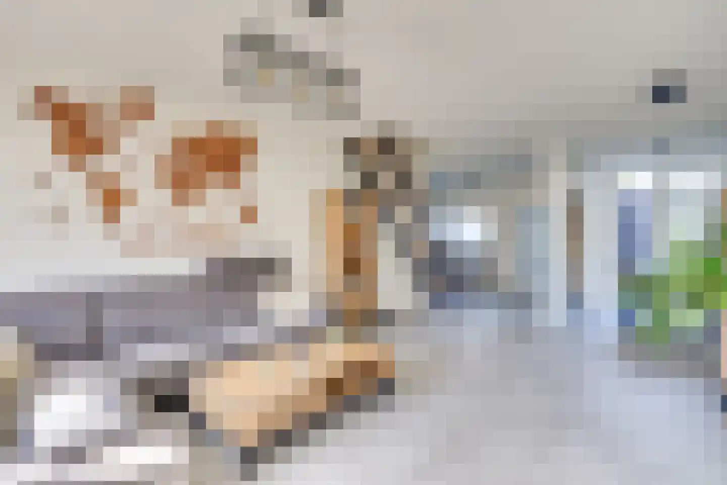 Wachtendonk 103 Uden thumbnail 6
