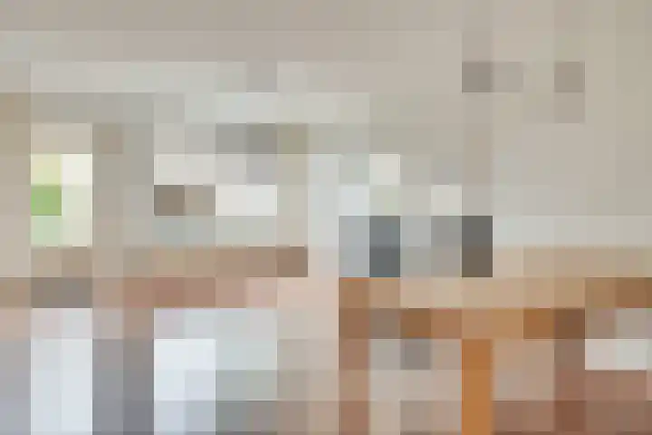 Wachtendonk 502 Uden thumbnail 14