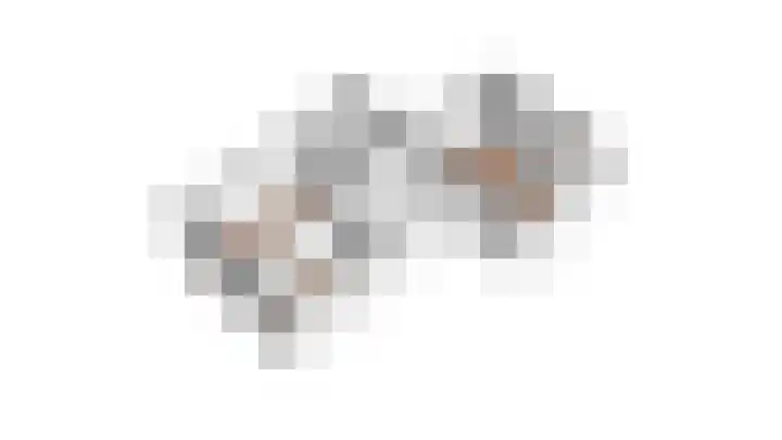 Wachtendonk 502 Uden thumbnail 29