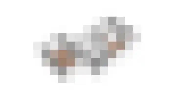 Wachtendonk 502 Uden thumbnail 30