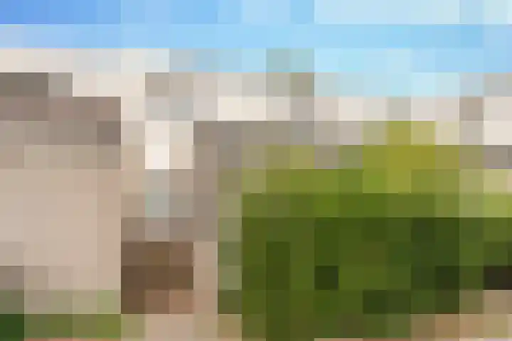 Wachtendonk 502 Uden thumbnail 4