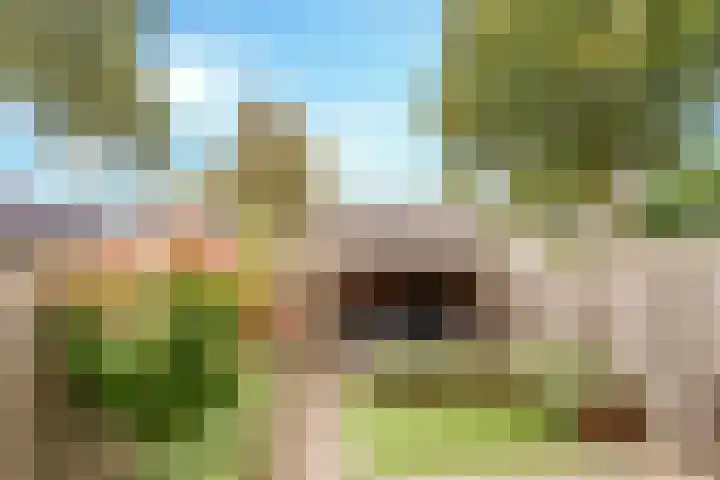 Wachtendonk 502 Uden thumbnail 6