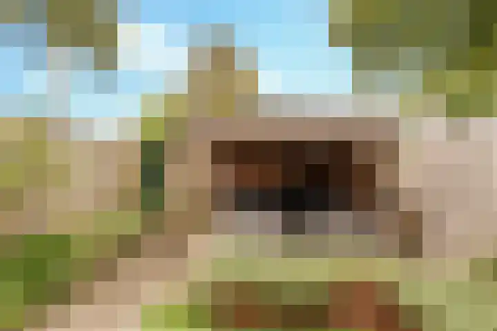 Wachtendonk 502 Uden thumbnail 7