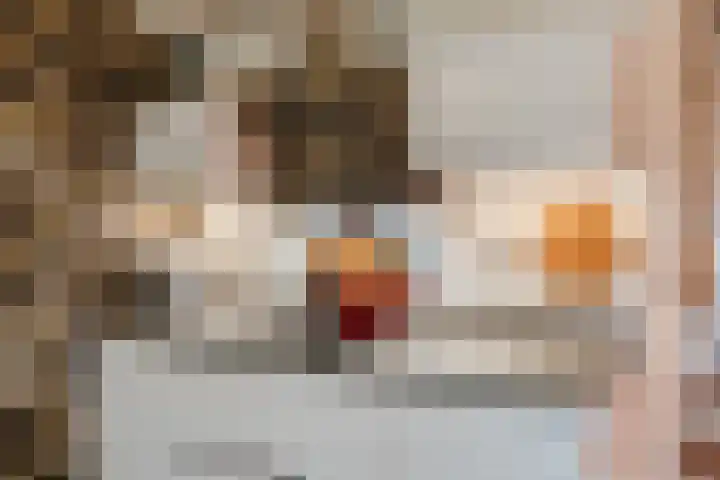 Wachtendonk 607 Uden thumbnail 10