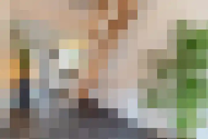 Wachtendonk 607 Uden thumbnail 14