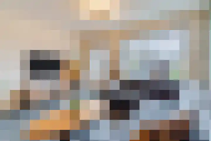 Wachtendonk 607 Uden thumbnail 18