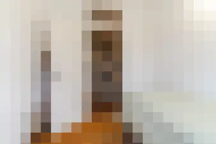 Wachtendonk 607 Uden thumbnail 30