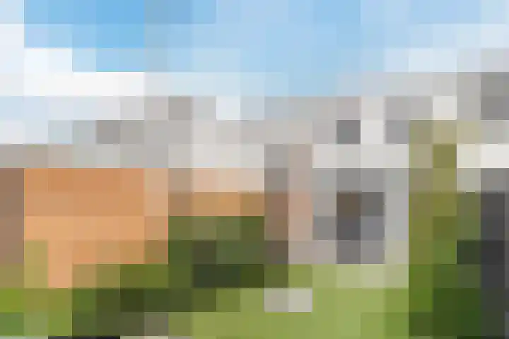 Wachtendonk 607 Uden thumbnail 34