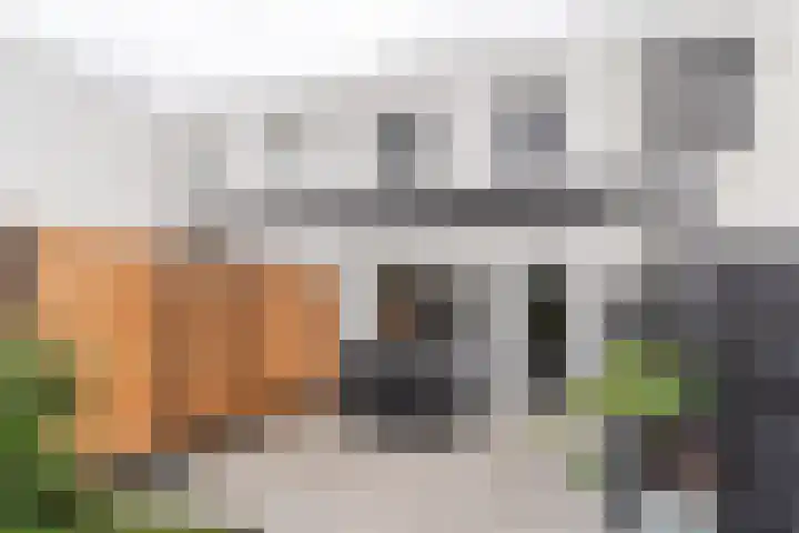 Wachtendonk 607 Uden thumbnail 36