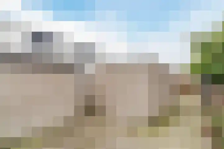 Wachtendonk 607 Uden thumbnail 42