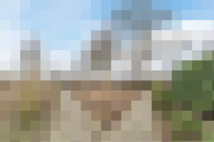 Wachtendonk 607 Uden thumbnail 46