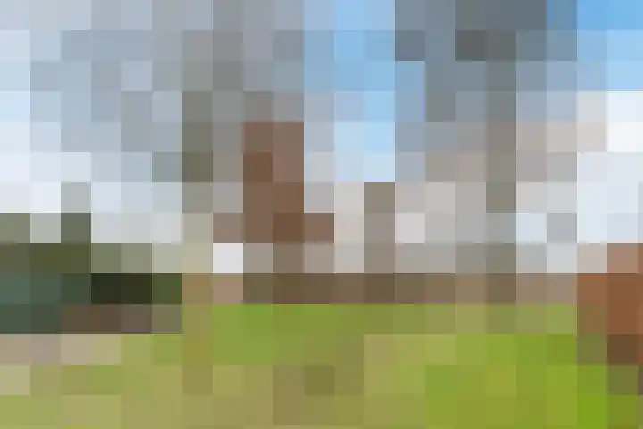 Wachtendonk 607 Uden thumbnail 48