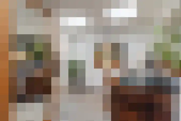 Wachtendonk 607 Uden thumbnail 7