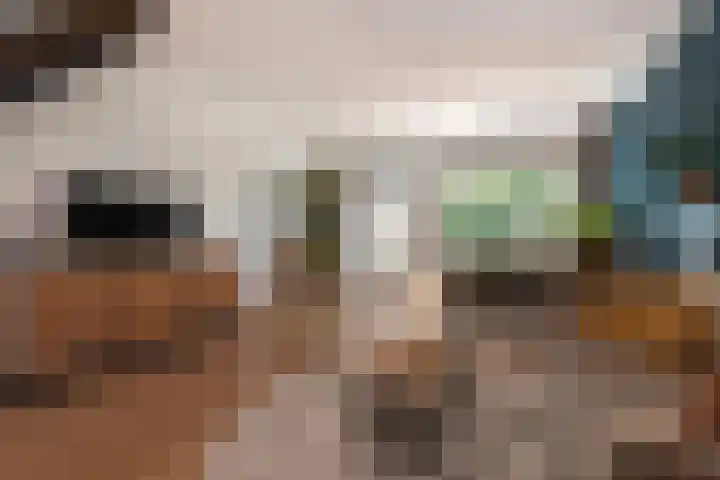 Wachtendonk 701 Uden thumbnail 15