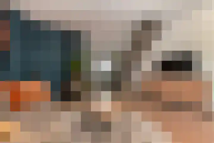 Wachtendonk 701 Uden thumbnail 16