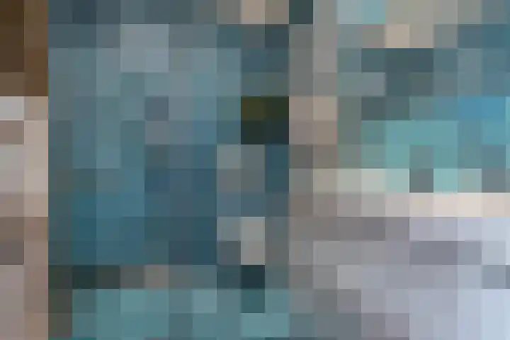 Wachtendonk 701 Uden thumbnail 25