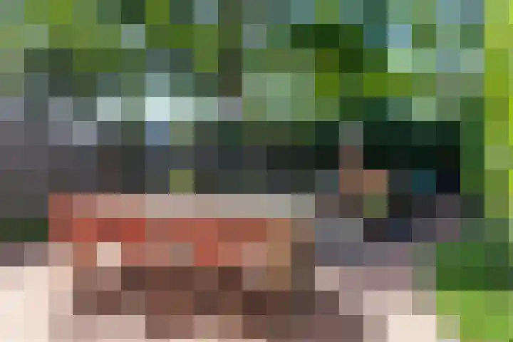 Wachtendonk 701 Uden thumbnail 28