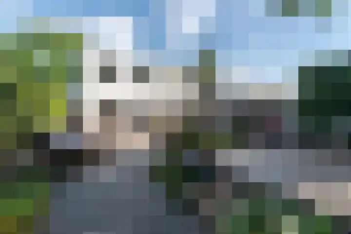 Wachtendonk 701 Uden thumbnail 31