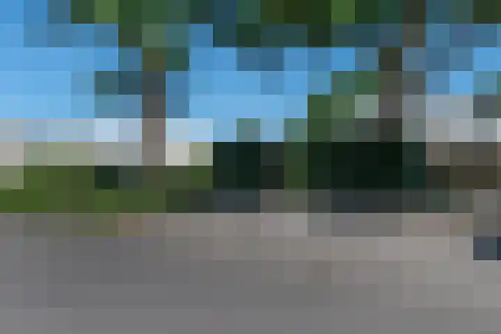 Wachtendonk 701 Uden thumbnail 36