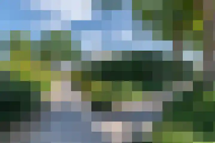 Wachtendonk 701 Uden thumbnail 39