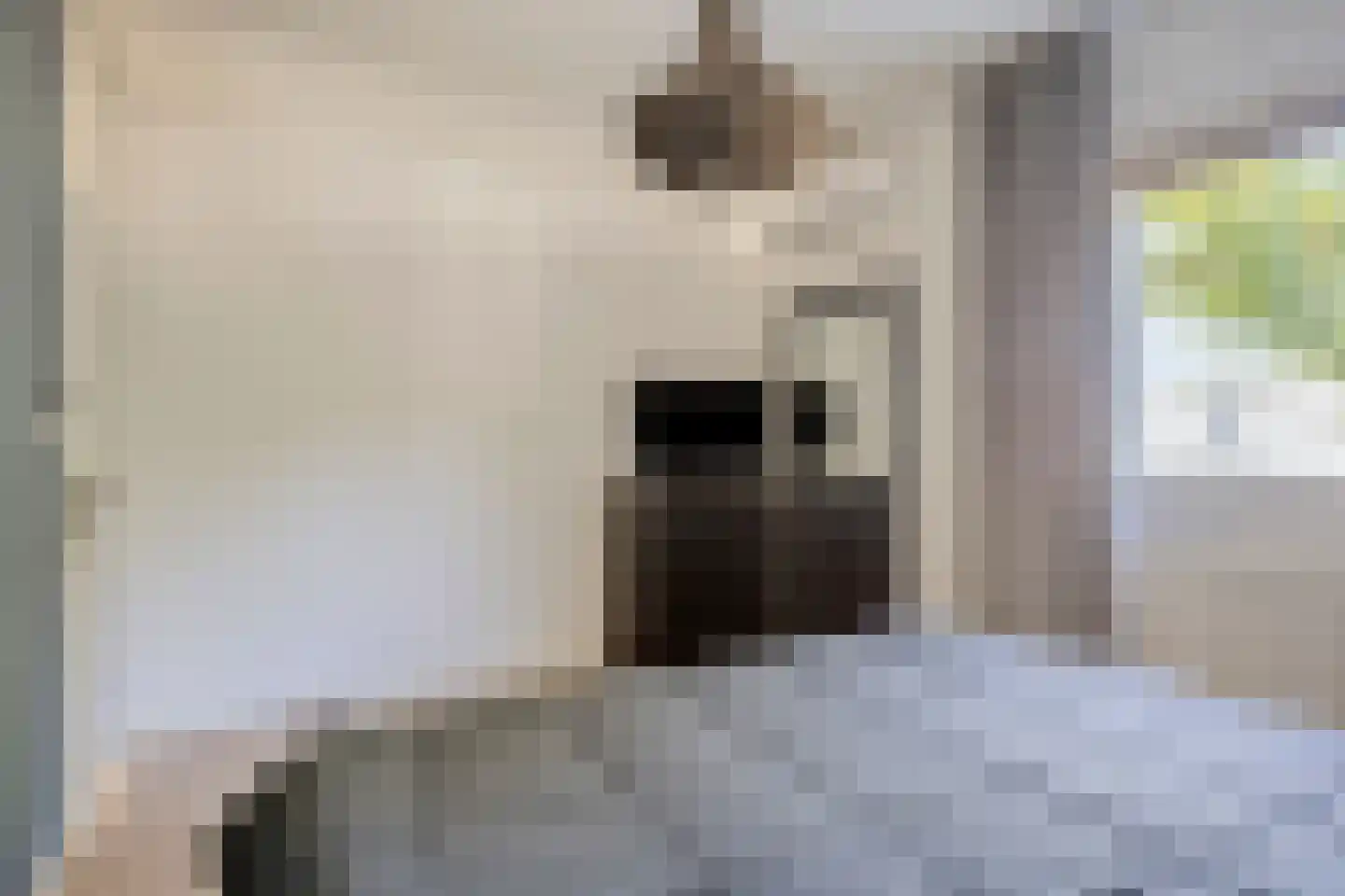 Wachtendonk 702 Uden thumbnail 18