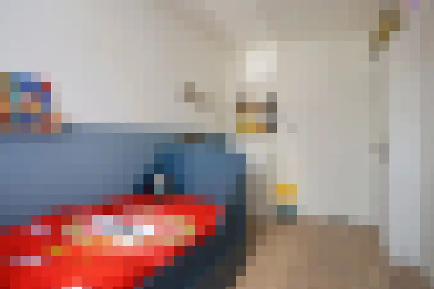 Wachtendonk 702 Uden thumbnail 22