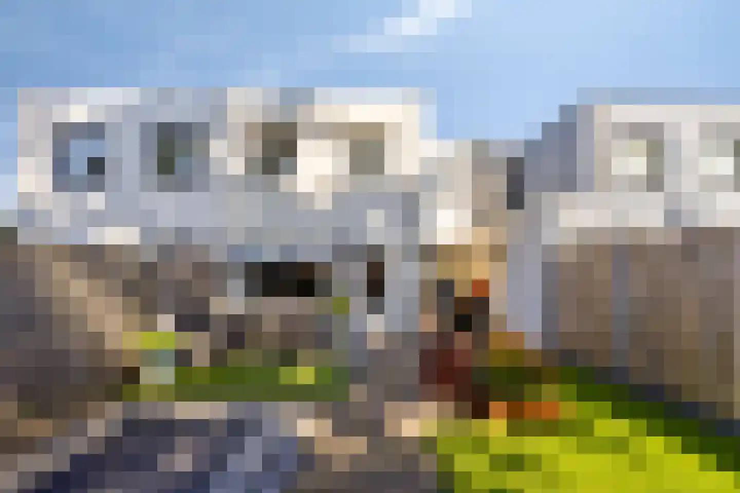 Wachtendonk 702 Uden thumbnail 25