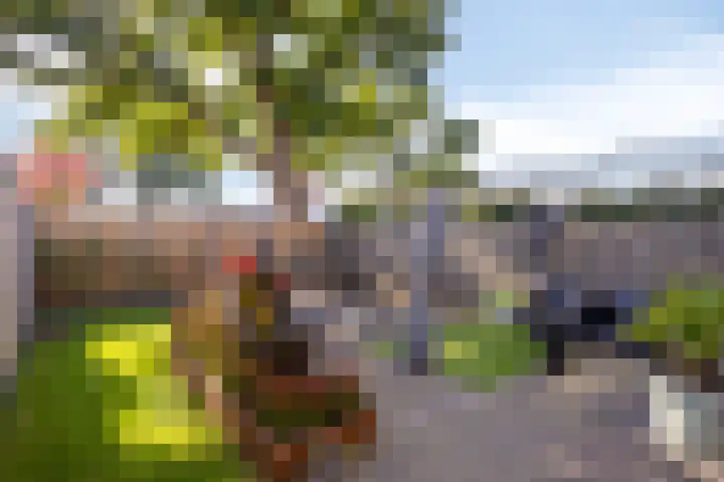Wachtendonk 702 Uden thumbnail 26