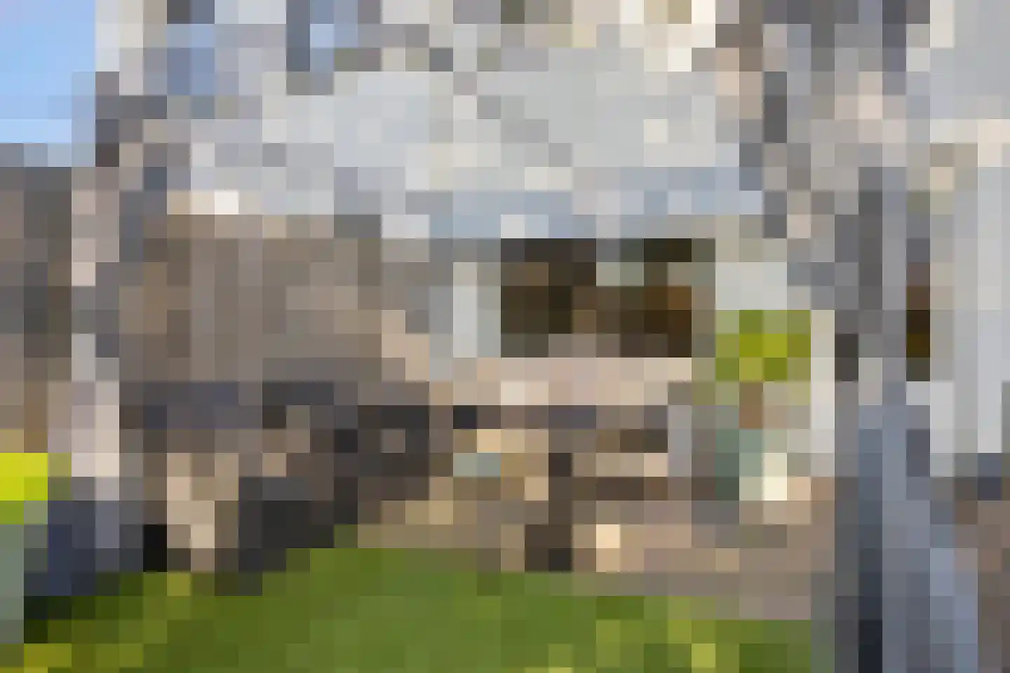 Wachtendonk 702 Uden thumbnail 27